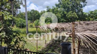 Chácara a venda no Povoado Água Bonita em Itaporanga