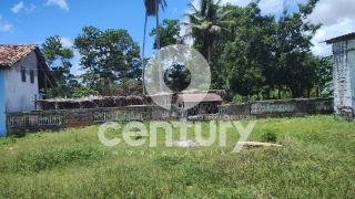 Chácara a venda no Povoado Água Bonita em Itaporanga