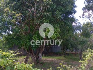 Chácara à venda em São Cristóvão