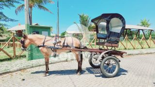 Casa no codomínio Fazenda Real II Residence