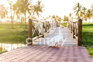 Lote no Condomínio Damha na Barra Dos Coqueiros