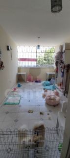 Casa de andar à venda no bairro Suíssa