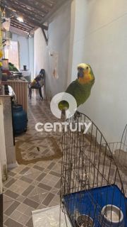 Casa Para Alugar com 3 quartos 1 suítes no bairro Aeroporto em Aracaju