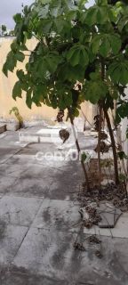 CASA COMERCIAL DE ANDAR NO PEREIRA LOBO