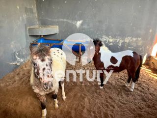 Fazenda Real 2 a venda em Estância