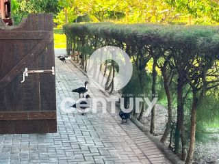 Fazenda Real 2 a venda em Estância