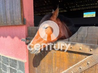 Fazenda Real 2 a venda em Estância