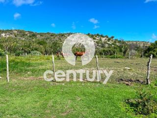 Fazenda Real 2 a venda em Estância