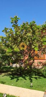 Casa à venda no condomínio Morada da praia 2