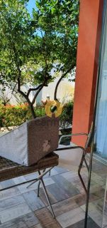 Casa à venda no condomínio Morada da praia 2