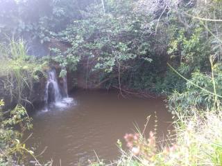 Fazenda Para Vender na Rodovia de Siriri