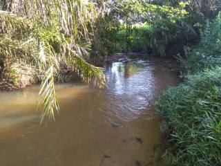 Fazenda Para Vender na Rodovia de Siriri