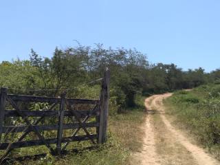 Fazenda Para Vender na Rodovia de Siriri