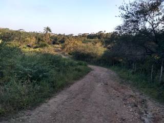Fazenda Para Vender na Rodovia de Siriri