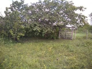 Fazenda Para Vender na Rodovia de Siriri