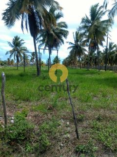Fazenda à venda em Pirambu