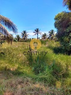 Fazenda à venda em Pirambu