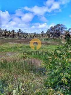 Fazenda à venda em Pirambu