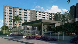 Aurora dos pássaros