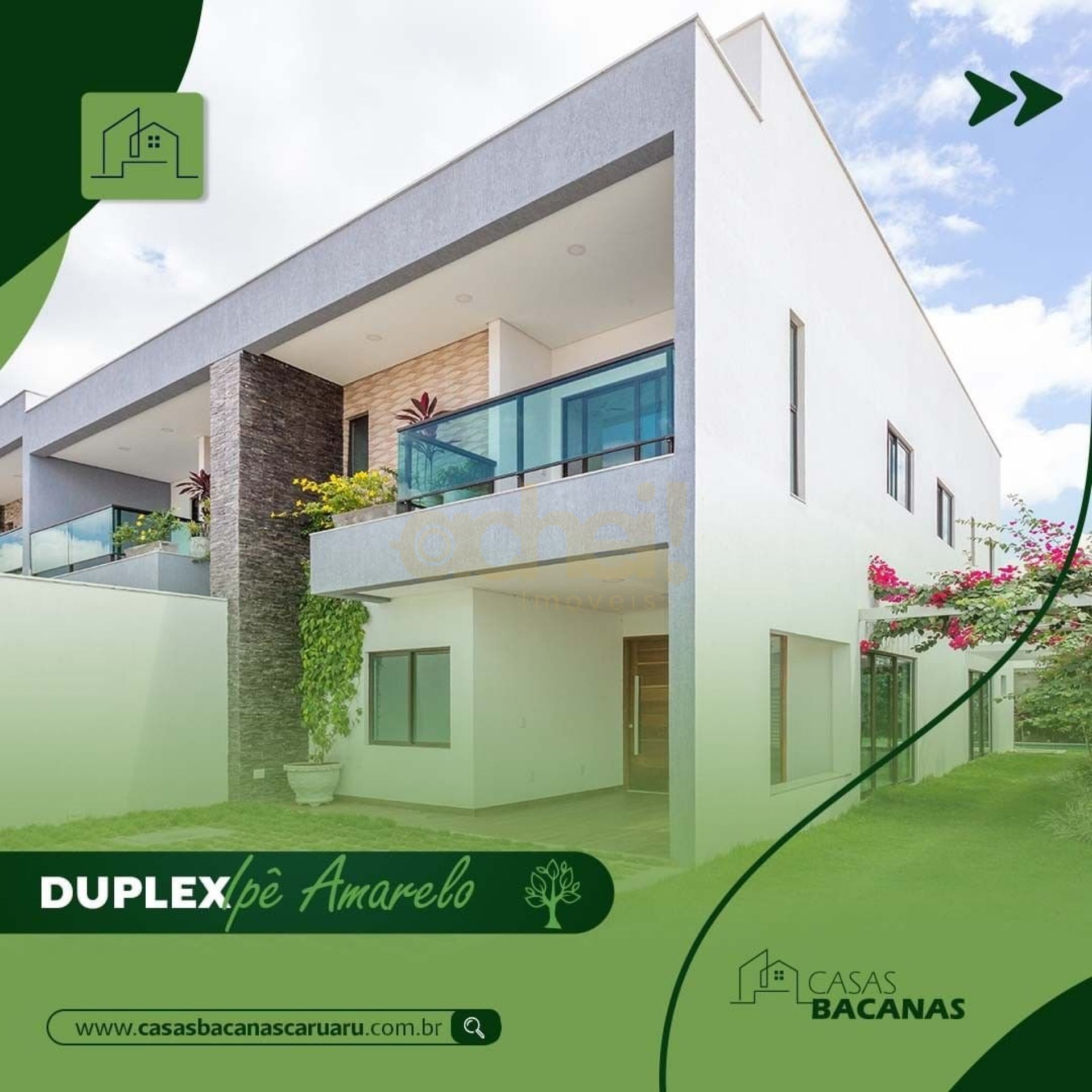 PERSPECTIVA CASAS BACANAS