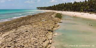NOMAR CARNEIROS ECOLIVING