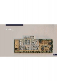 FOCUS CENTER