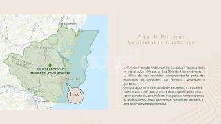 TAO GARDEN - Praia de Tamandaré