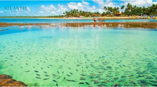 ATLANTIS Garden - Porto de Galinhas