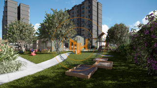 Aurora dos Pássaros