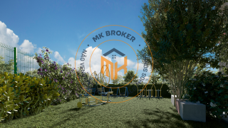 Aurora dos Pássaros