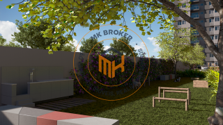 Aurora dos Pássaros