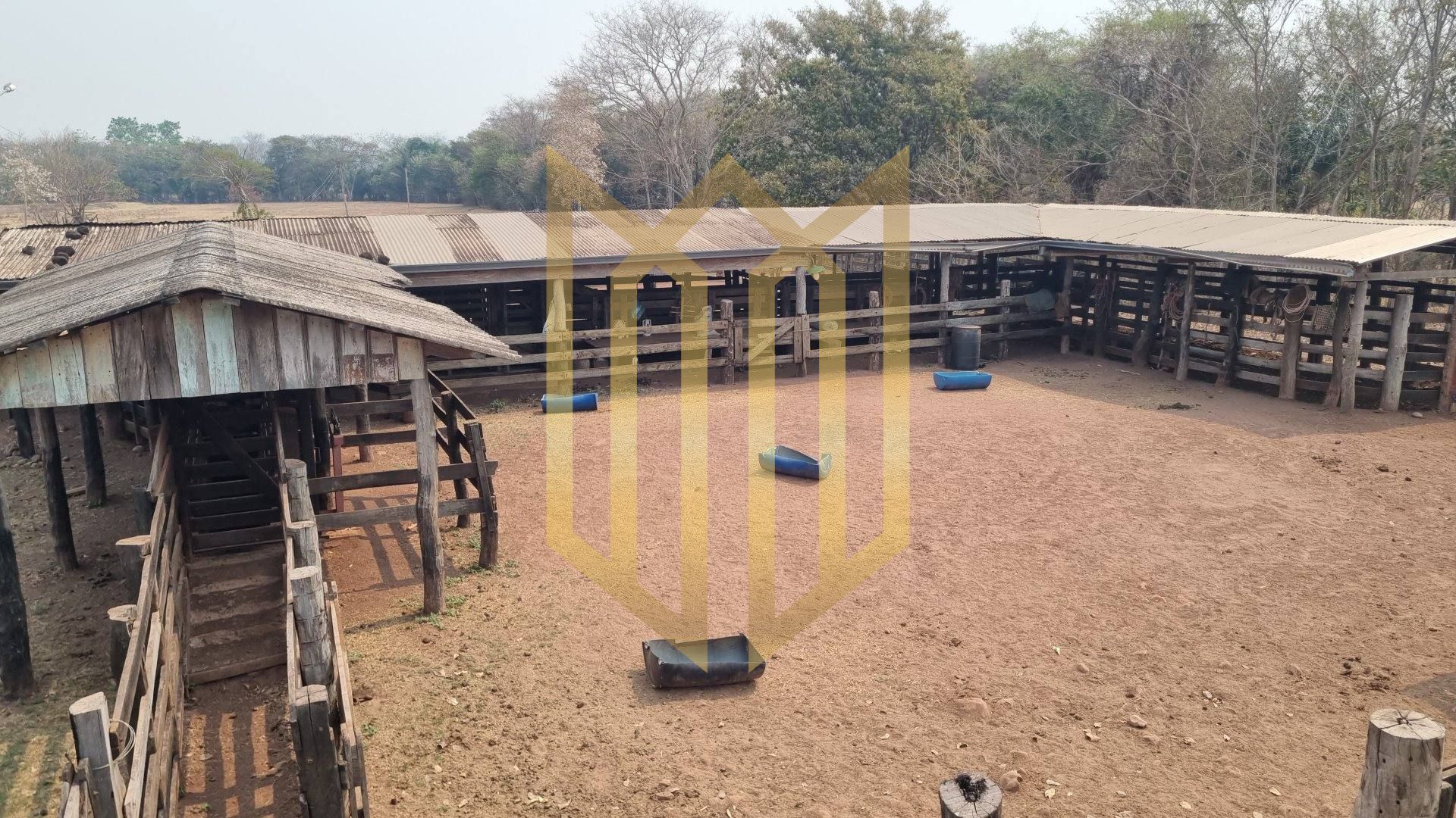 Fazenda 2050ha a venda região  médio norte