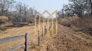 Fazenda 2050ha a venda região  médio norte