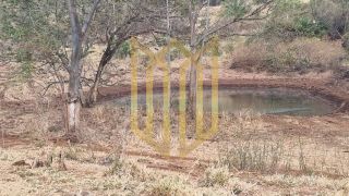 Fazenda 2050ha a venda região  médio norte
