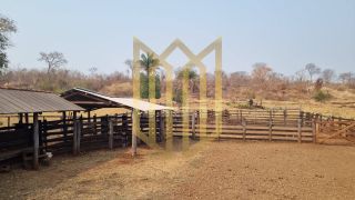 Fazenda 2050ha a venda região  médio norte