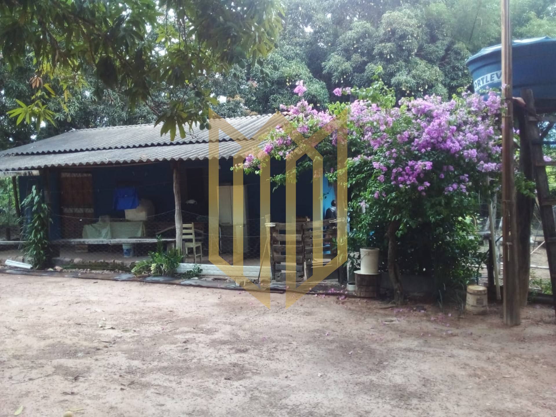 Fazenda Paranatinga a venda 62ha