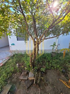 Casa térrea a venda 4 quartos Jd. Europa