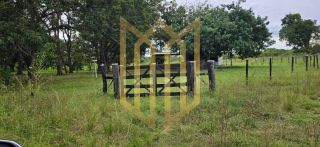 Linda Fazenda a venda na baixada Cuiabana