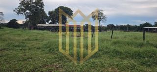 Linda Fazenda a venda na baixada Cuiabana