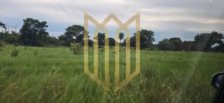 Linda Fazenda a venda na baixada Cuiabana