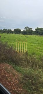 Linda Fazenda a venda na baixada Cuiabana