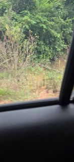 Linda Fazenda a venda na baixada Cuiabana