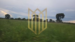 Linda Fazenda a venda na baixada Cuiabana