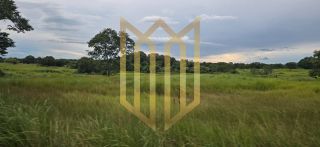 Linda Fazenda a venda na baixada Cuiabana