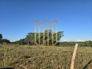 Fazenda 205ha a venda Baixada Cuiabana