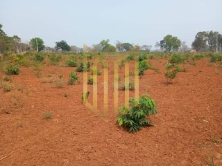 Fazenda 205ha a venda Baixada Cuiabana