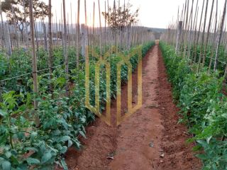 Sitio a venda 100% produtiva 8 hectares - Chapada dos Guimaraes MT