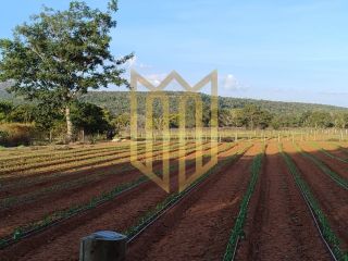 Sitio a venda 100% produtiva 8 hectares - Chapada dos Guimaraes MT