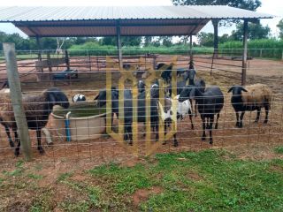Sitio a venda 100% produtiva 8 hectares - Chapada dos Guimaraes MT