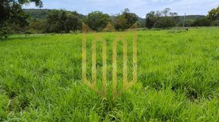 Sitio a venda 100% produtiva 8 hectares - Chapada dos Guimaraes MT